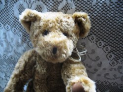 CINNAMON BEAR_04